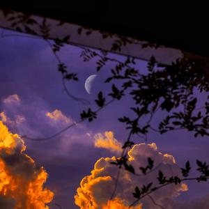 国产特级婬片免费看
