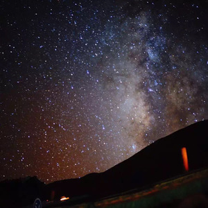 国产特级婬片免费看
